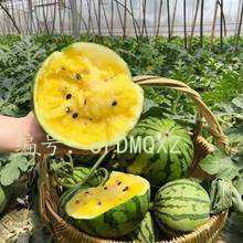 ĩ